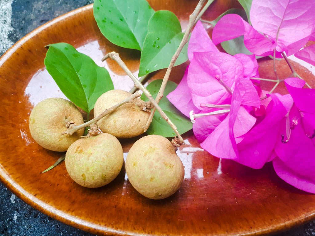 fruits in the Philippines - longan in a bowl