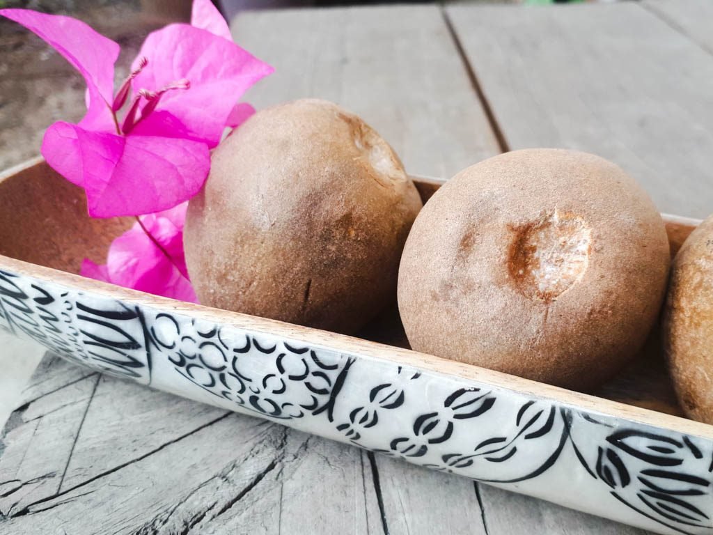 fruits in the Philippines - chico in a bowl not opened