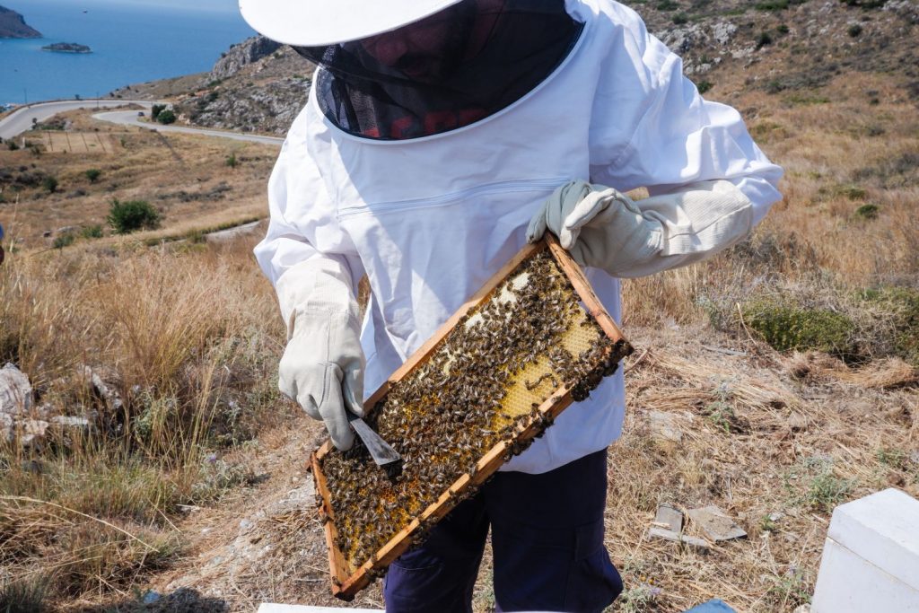 Beekeeper in Argolida Greece