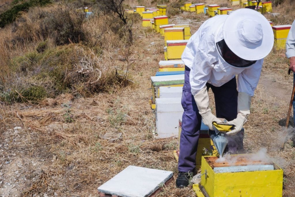 Beekeeper in Argolida