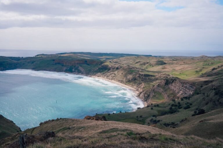 Chatham Islands New Zealand