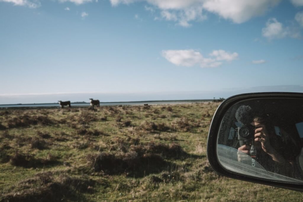 Chatham Islands New Zealand