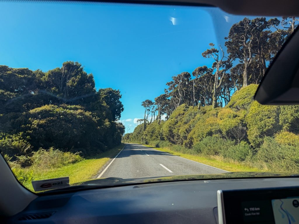 New Zealand road trip